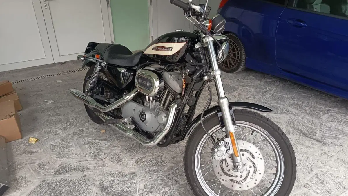 Harley-Davidson 1200 Roadster (2002 - 05) - XL 1200R  (2)