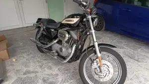 Harley-Davidson 1200 Roadster (2002 - 05) - XL 1200R  (2)
