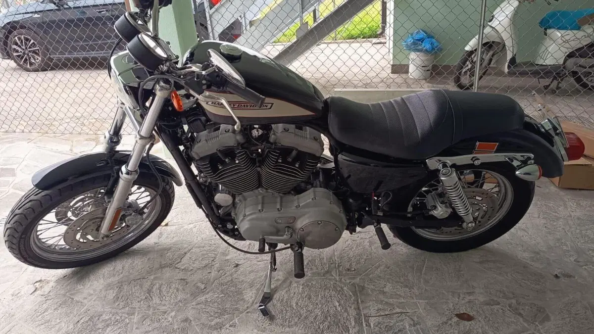 Harley-Davidson 1200 Roadster (2002 - 05) - XL 1200R  (3)