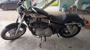 Harley-Davidson 1200 Roadster (2002 - 05) - XL 1200R  (3)