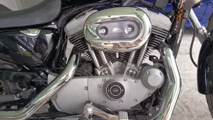 Harley-Davidson 1200 Roadster (2002 - 05) - XL 1200R  (5)