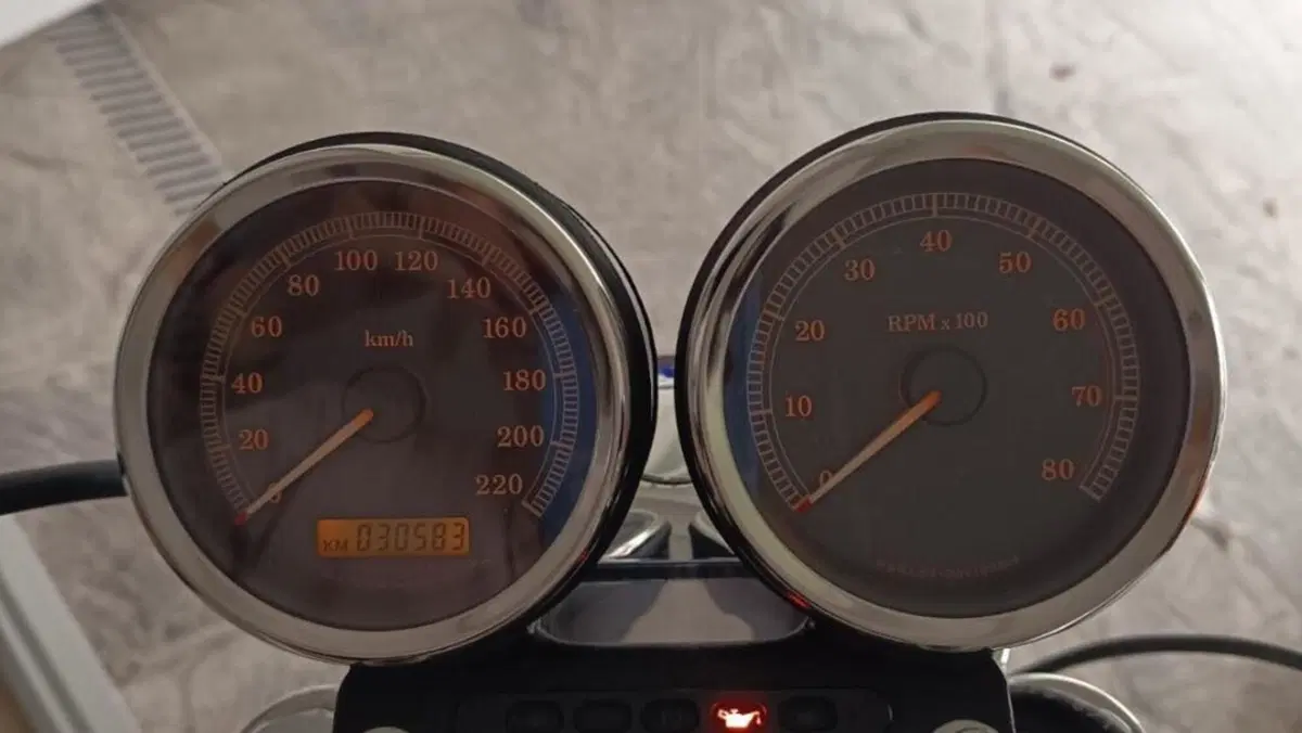 Harley-Davidson 1200 Roadster (2002 - 05) - XL 1200R  (6)