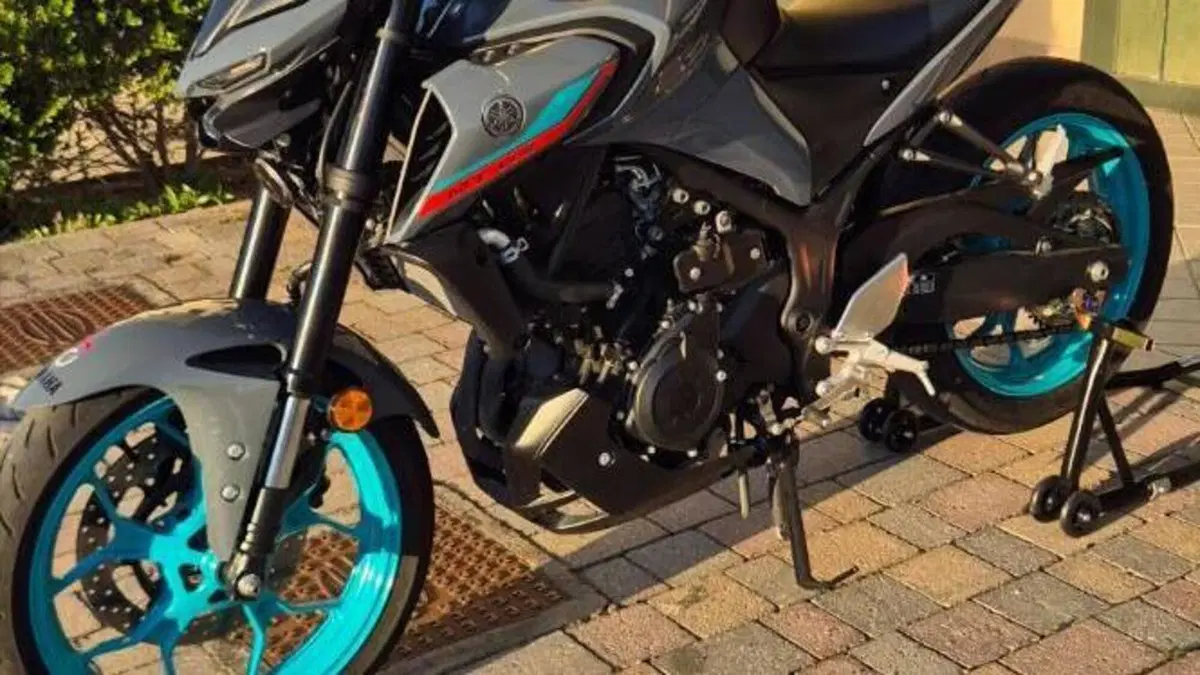Yamaha MT-03 (2022 - 24) 