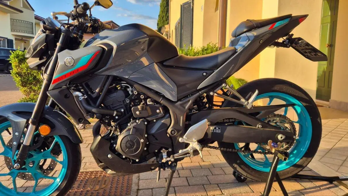 Yamaha MT-03 (2022 - 24)  (6)