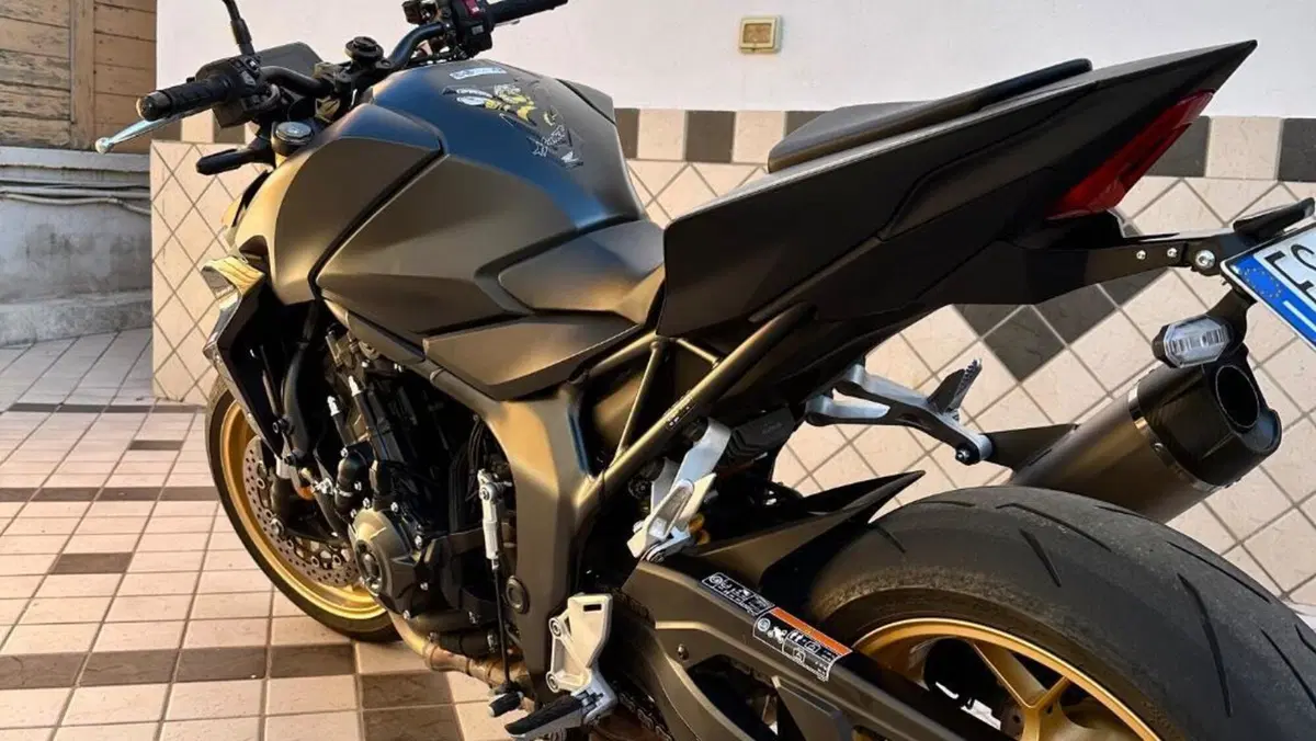 Honda CB 1000 Hornet SP (2025 - 26)  (3)