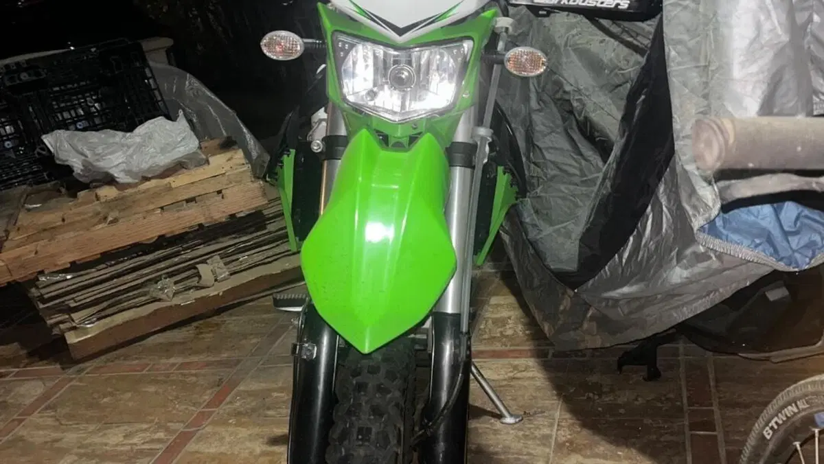 Kawasaki KLX 250 (2009 - 16)  (2)