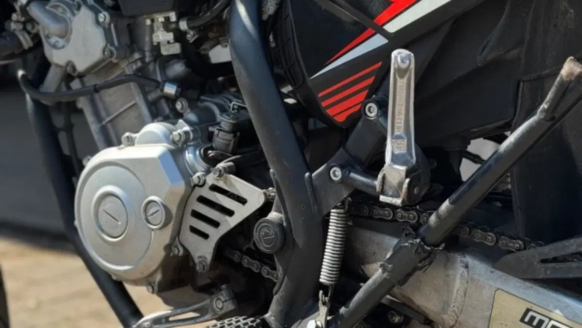 Betamotor RR 125 4T Motard LC (2010 - 17)  (8)
