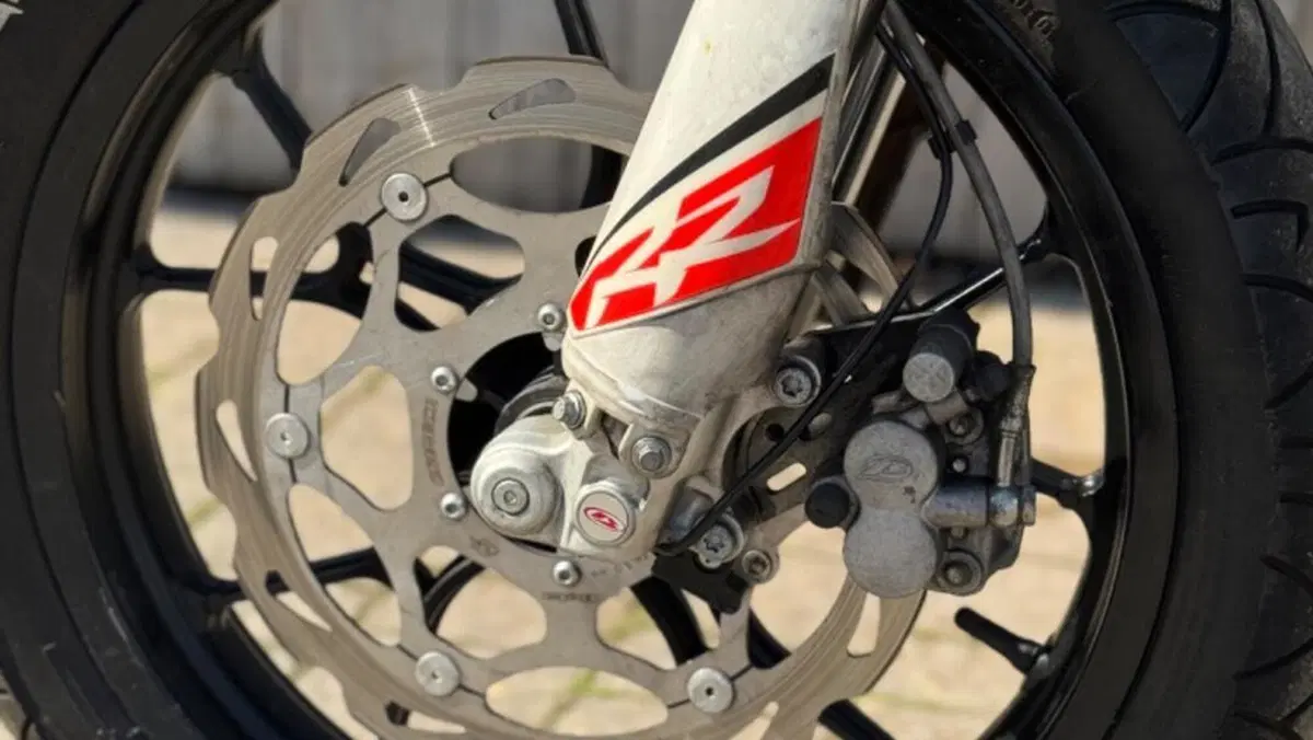 Betamotor RR 125 4T Motard LC (2010 - 17)  (9)