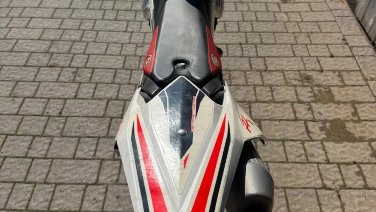 Betamotor RR 125 4T Motard LC (2010 - 17)  (11)