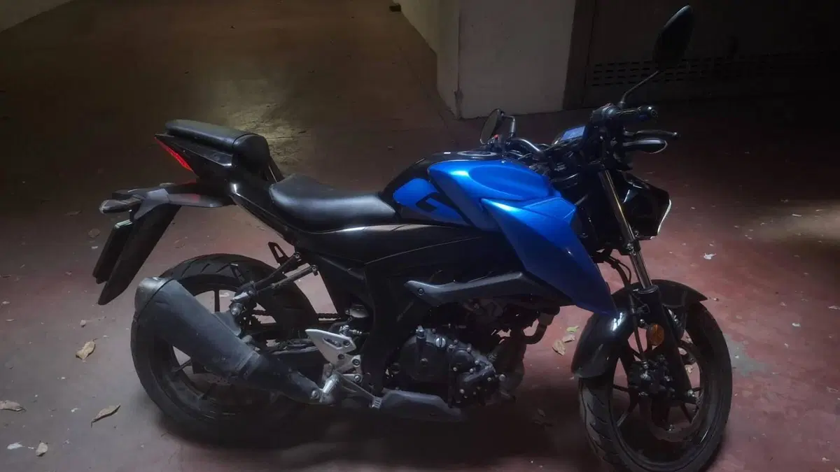 Suzuki GSX-S125 (2022 - 24) 
