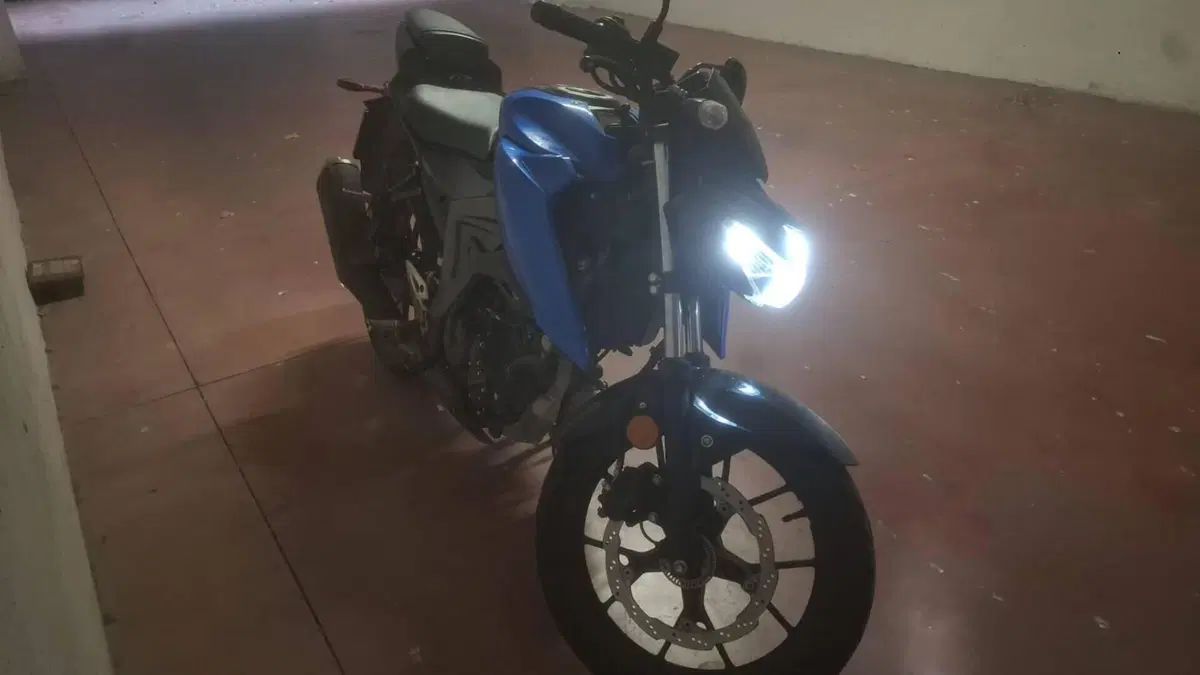 Suzuki GSX-S125 (2022 - 24)  (2)