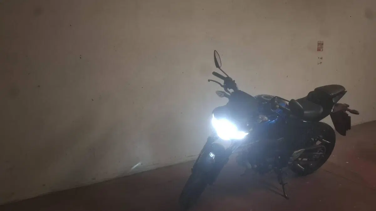 Suzuki GSX-S125 (2022 - 24)  (4)