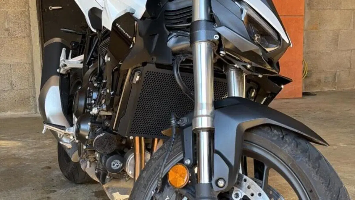Honda CB 1000 Hornet (2025 - 26)  (2)