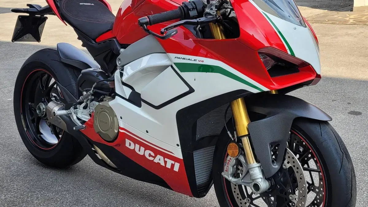 Ducati Panigale V4 Speciale 1100 (2018 - 19)  (10)