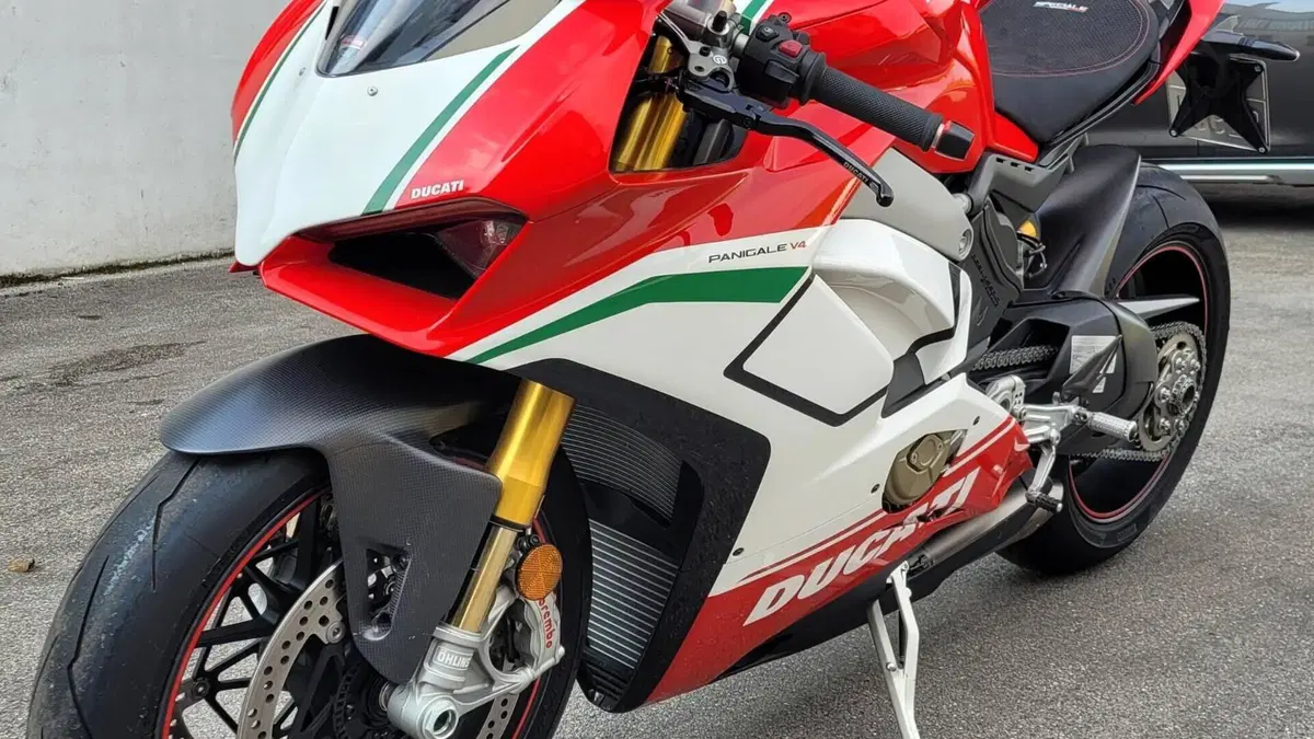 Ducati Panigale V4 Speciale 1100 (2018 - 19)  (12)