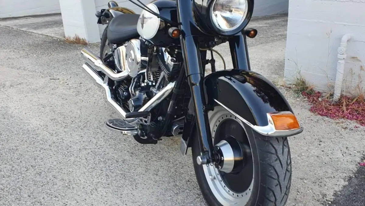 Harley-Davidson 1450 Fat Boy (1999 - 02) - FLSTF  (15)