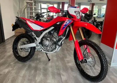 Honda CRF 300L (2025 - 26) - Annuncio 10019830