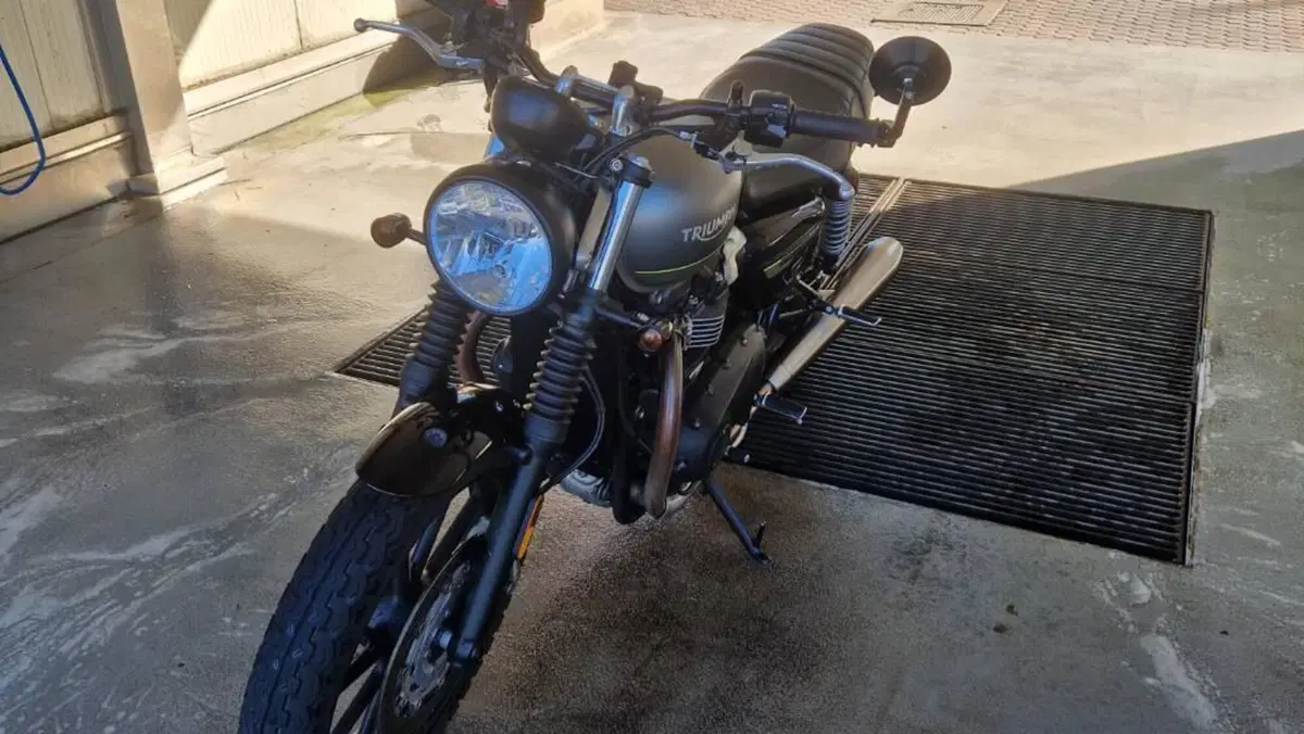 Triumph Speed Twin 900 (2023 - 24)  (6)