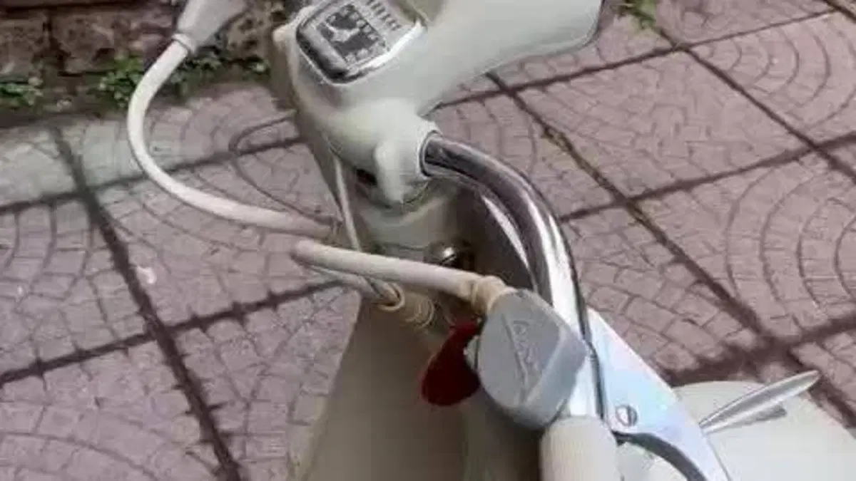 Piaggio   (3)