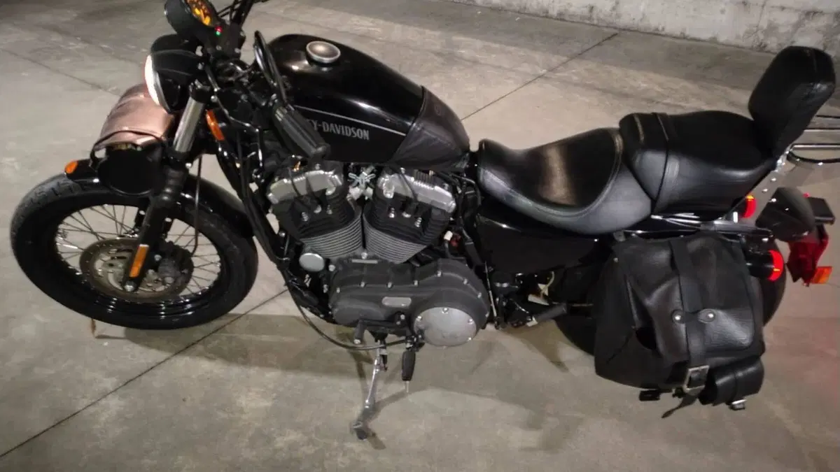 Harley-Davidson XL 1200N Nightster (2008 - 12)  (3)