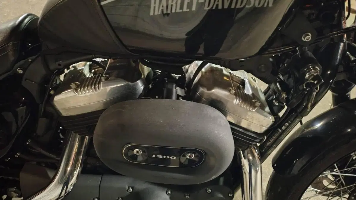 Harley-Davidson XL 1200N Nightster (2008 - 12)  (6)