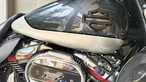 Harley-Davidson 117 Street Glide (2018 - 20) - FLHXSE  (11)