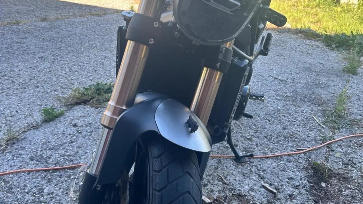Benelli Leoncino 800 (2022 - 26)  (2)