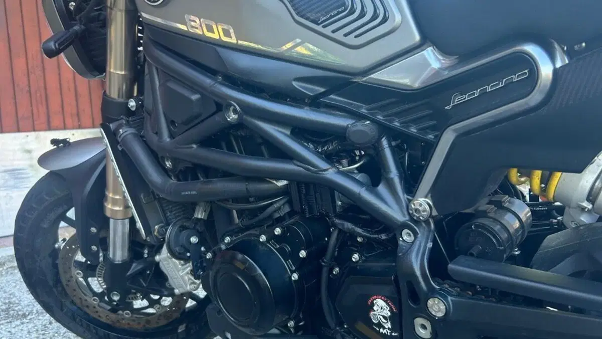 Benelli Leoncino 800 (2022 - 26)  (7)