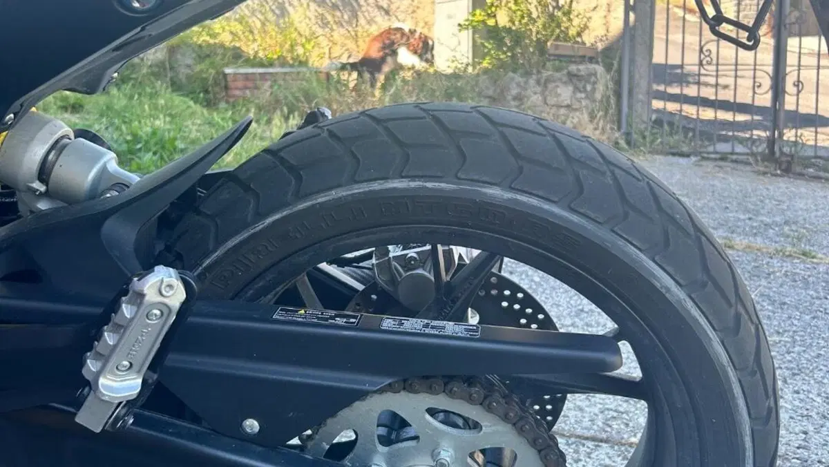 Benelli Leoncino 800 (2022 - 26)  (8)