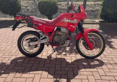Honda NX 650 Dominator (1988 - 90) - Annuncio 10020206