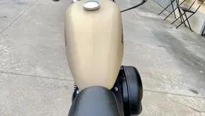 Harley-Davidson 883 Iron (2014 - 16) - XL 883N  (3)