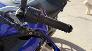 Yamaha MT-03 (2020)  (7)