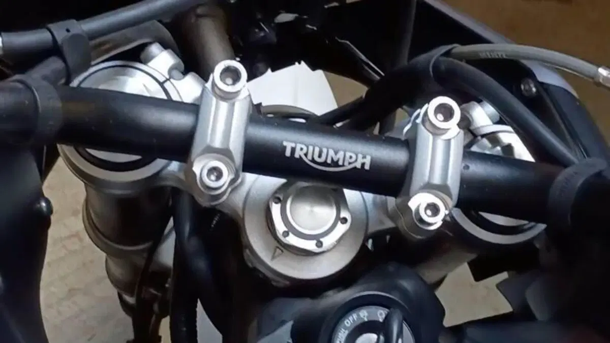 Triumph Tiger 800 XR (2015 - 17)  (3)