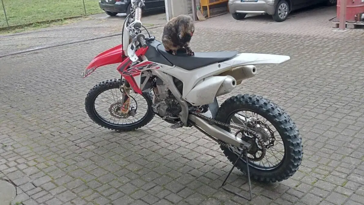 Honda CRF 450R (2014) 
