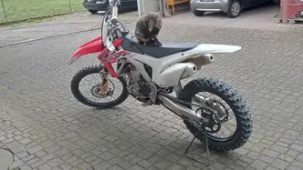 Honda CRF 450R (2014) usata