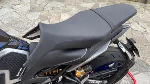 Yamaha MT-09 SP (2018 - 20)  (9)