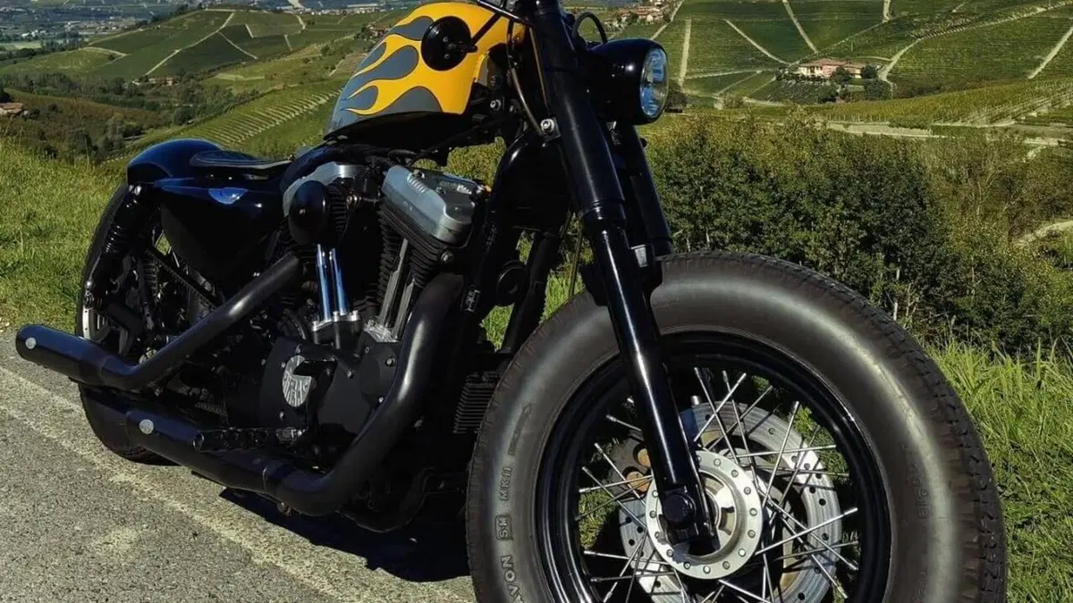 Harley-Davidson 1200 Forty-Eight (2010 - 15)  (2)
