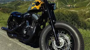 Harley-Davidson 1200 Forty-Eight (2010 - 15)  (2)
