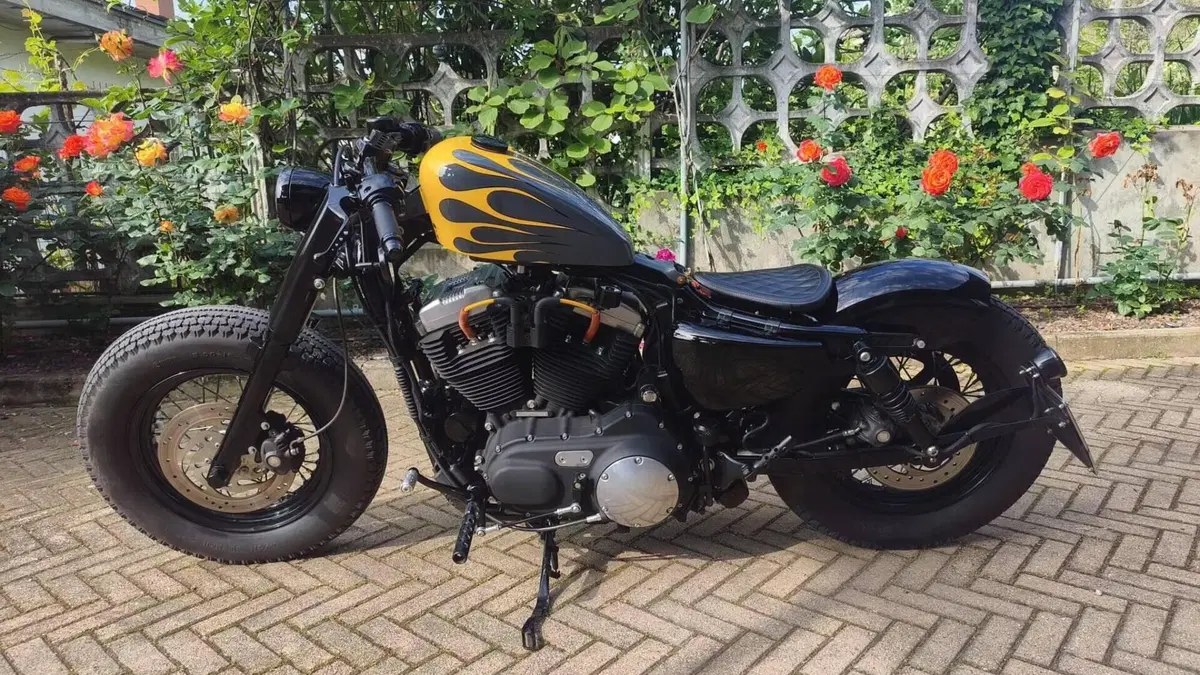 Harley-Davidson 1200 Forty-Eight (2010 - 15)  (4)