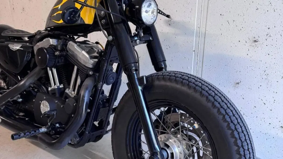 Harley-Davidson 1200 Forty-Eight (2010 - 15)  (15)
