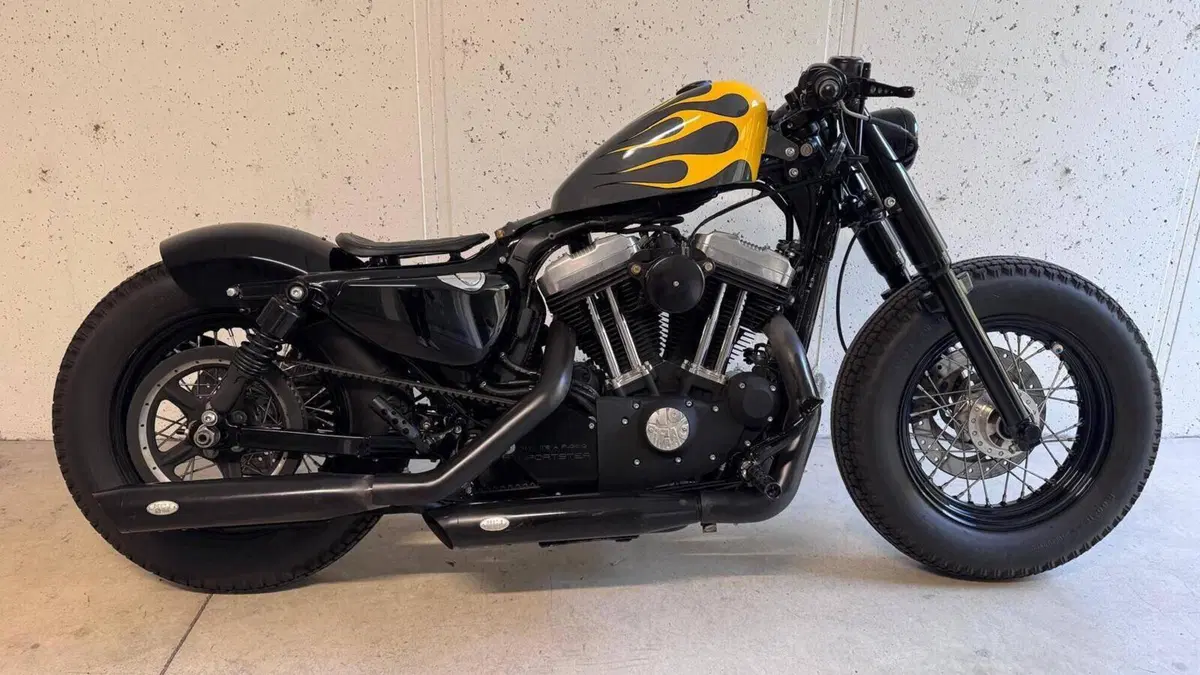 Harley-Davidson 1200 Forty-Eight (2010 - 15)  (16)