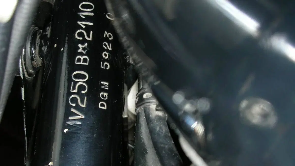 MV Agusta   (6)