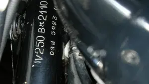MV Agusta   (6)