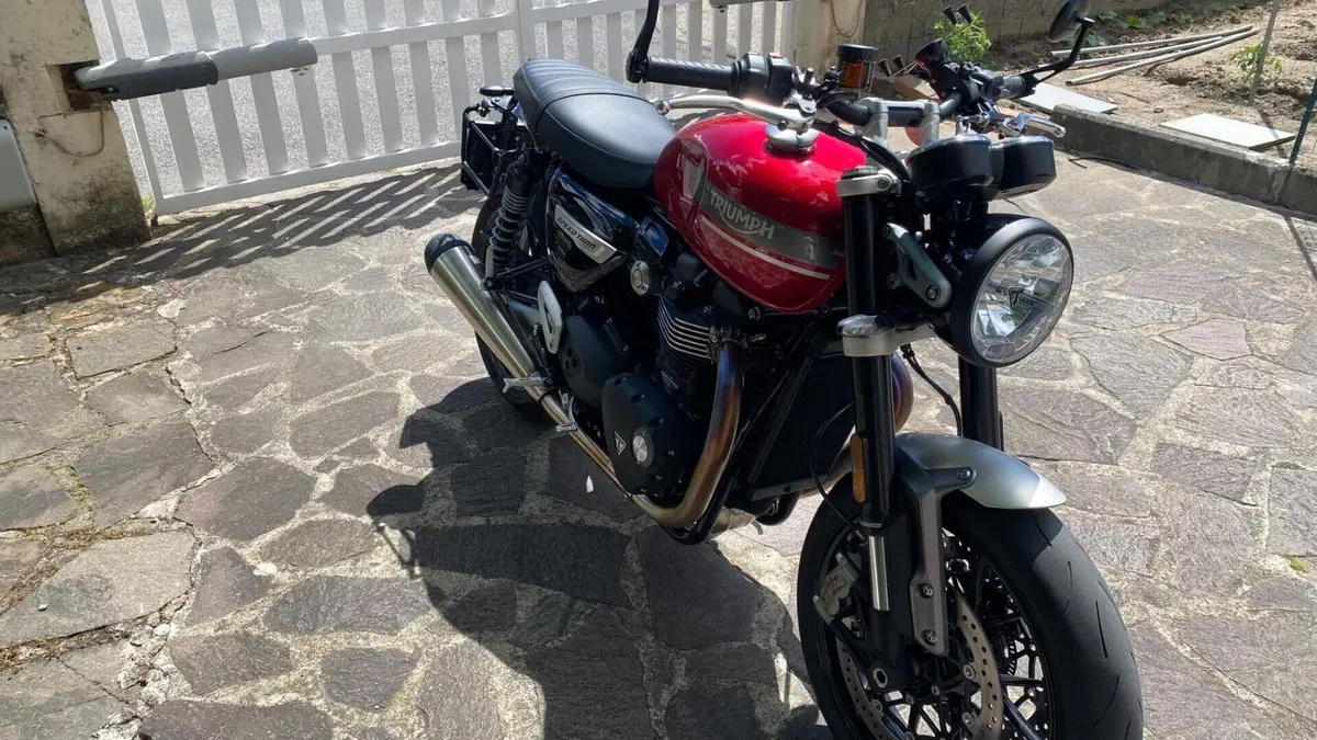 Triumph Speed Twin 1200 Stealth Edition (2024)  (3)