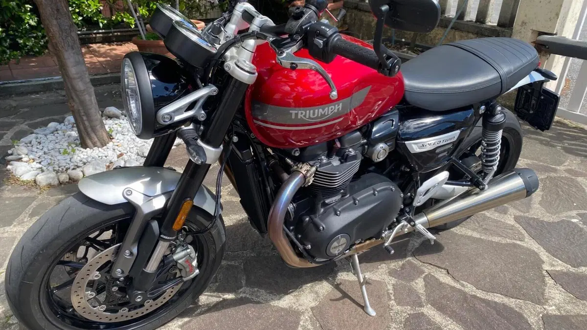 Triumph Speed Twin 1200 Stealth Edition (2024)  (7)