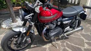 Triumph Speed Twin 1200 Stealth Edition (2024)  (7)