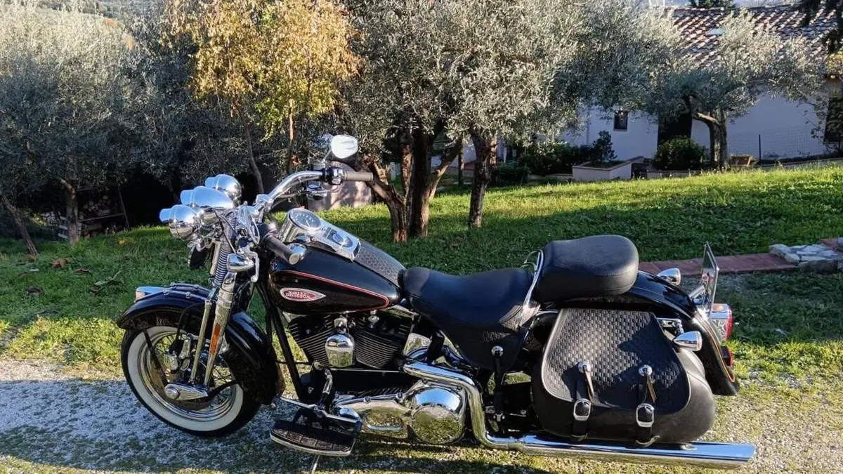 Harley-Davidson 1450 Heritage Springer (2000 - 03) - FLSTS  (2)