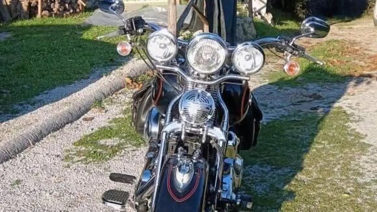 Harley-Davidson 1450 Heritage Springer (2000 - 03) - FLSTS  (4)