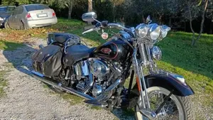 Harley-Davidson 1450 Heritage Springer (2000 - 03) - FLSTS  (5)