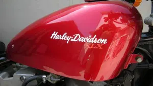 Harley-Davidson   (3)